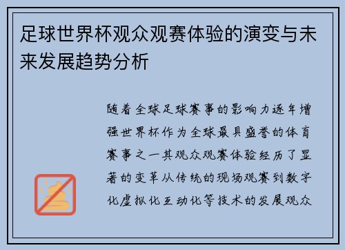 足球世界杯观众观赛体验的演变与未来发展趋势分析