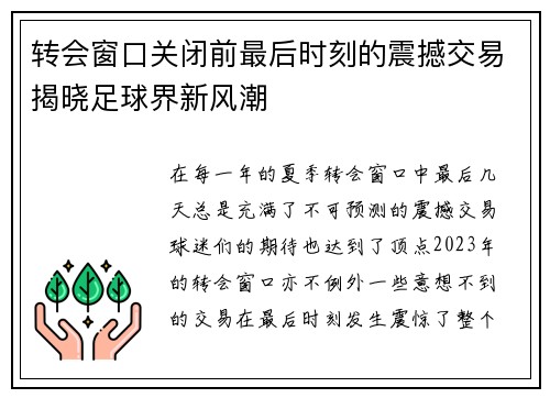 转会窗口关闭前最后时刻的震撼交易揭晓足球界新风潮